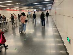 -大望路(地铁站)