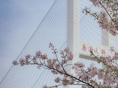 -南浦大桥长途旅游客运站