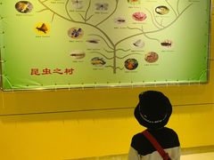 -上海昆虫博物馆