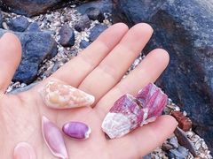 -馨越楼·点心·粤菜(赤坎店)