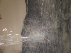 -北京西藏大厦酒店