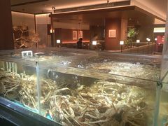 -紫阳海鲜楼·传承闽味(长乐路总店)