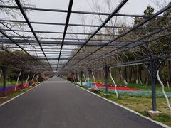 -东平国家森林公园