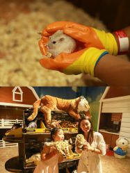 -宝燕乐园(闵行旗舰店)