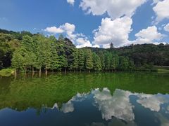 -广州市白云山风景名胜区