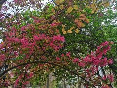 -成都市活水公园