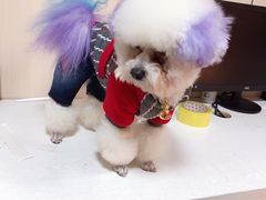 -宠颐生宠物医院·综合诊疗(先锋分院)