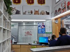 -爱侣宠医·鹦鹉专科·小型哺乳类·异宠专科(灵石路店)