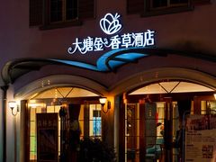 -大塘金香草谷
