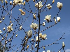 -广州市流溪河国家森林公园