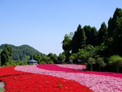 -中国香山·寿香谷