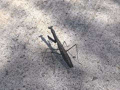 -鬼笑石后山停车场