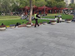 -丰盛里