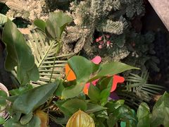 -泰古龙抓龙筋·spa按摩(静安店)