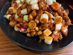 -望京一号(菜户营店)
