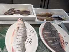 -码头鲜精致威海菜(欧乐坊店)
