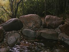 -咸宁万豪温泉谷度假区