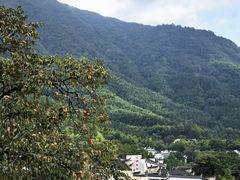 -塔川景区