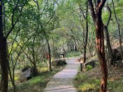 -虞山风景区