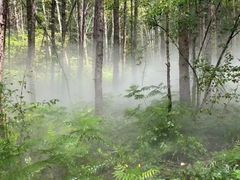 -帽儿山风景区