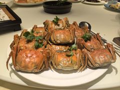 -浙里会