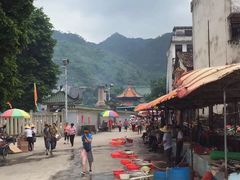 -悦城龙母祖庙