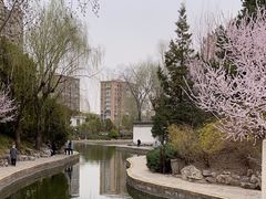 -团结湖公园
