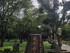 -海口火山口国家地质公园