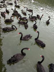 -碧玺沙灸美容美体养生馆