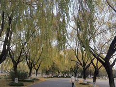 -东华大学(松江校区)