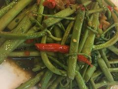 含羞草-建兴酒家(班塔通分店)