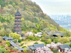 -牛首山文化旅游区