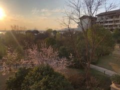-光谷希尔顿酒店-厨意意大利餐厅(鸿雁路店)