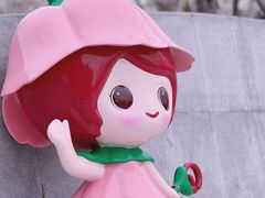 -顾村公园