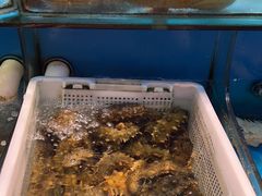 -谊荣海鲜大牌档(石湖店)
