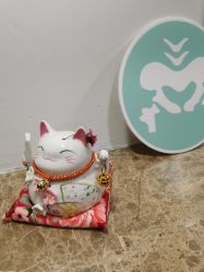 -FACE·日本小颜矫正美容整骨サロン