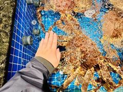 -海月轩海鲜豆捞(紫金塔店)