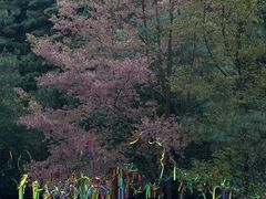 -苍山感通索道