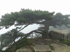 -罗田薄刀峰风景区