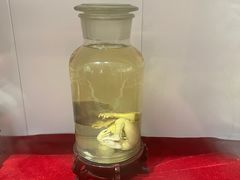 -武汉达临性学生命文化博物馆
