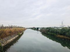 -芒洲湿地公园