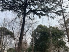 -莲湖公园