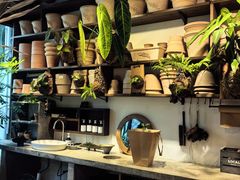 -自由生长植物工作室(深港花卉中心店)