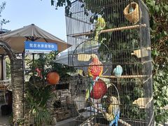-水岸居湖景农家乐·阳澄湖大闸蟹