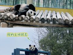 -杭州野生动物世界