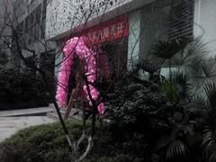 -西吉马游泳健身(协信店)