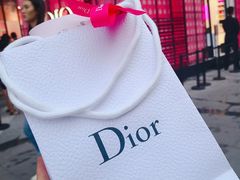 -Dior迪奥(上海世茂广场店)