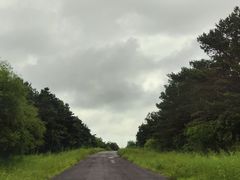 -大青沟风景区