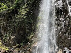 -姑婆山旅游区