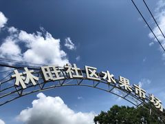 -林旺社区水果市场